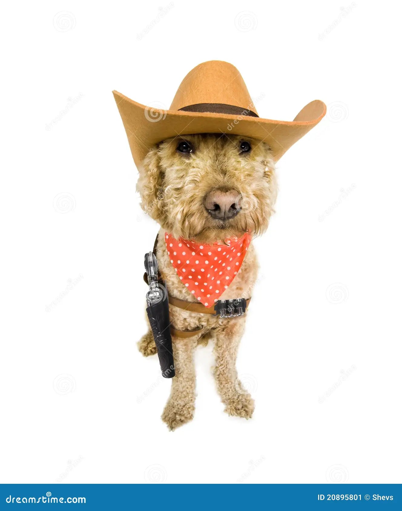 The Western Dawg