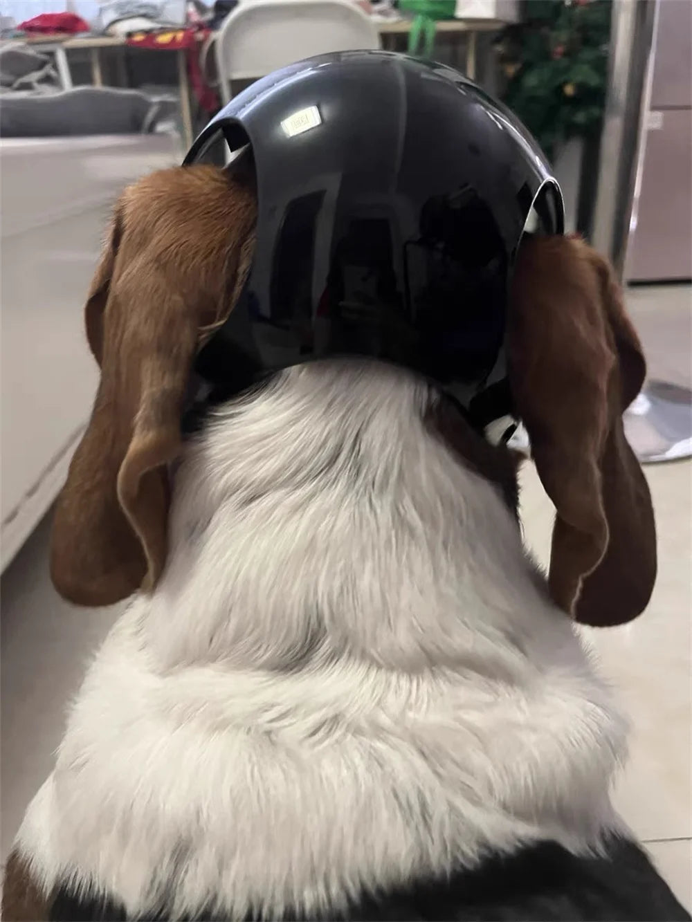 Helmet